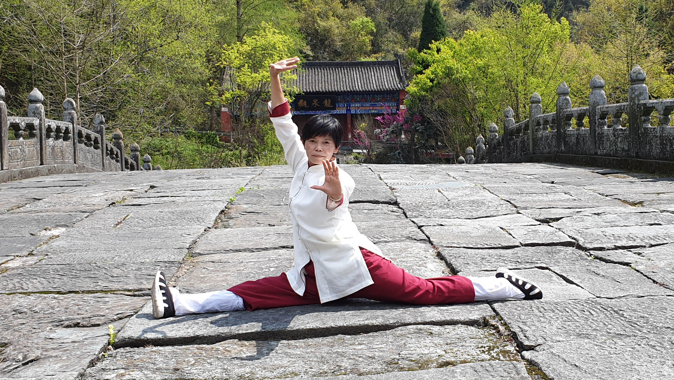 Wudang Taichi